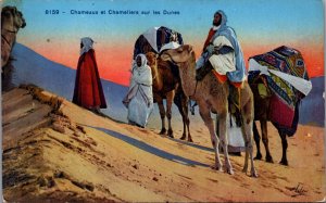 Algeria Chameaux et Chameliers sur les Dunes Vintage Postcard C185