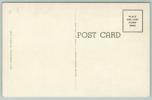 Murra KY~State College Training School~Path Between Bare Trees~BlueSky~1920s PC