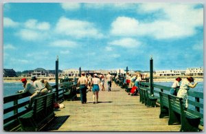 Virginia Beach Virginia 1950s Postcard View From Fishing Pier Towards Beach