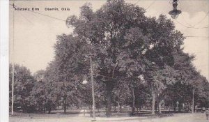 Ohio Oberlin Historic Elm-Albertype