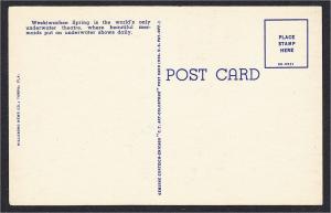 Weekiwachee Spring FL Underwater Mermaid Linen Postcard 1940s