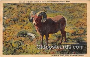 Yellowstone National Park, USA Bighorn Mountain Sheep Unused 