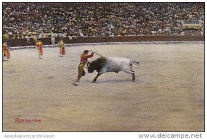 Corrida Bull Fight Banderillas