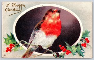Christmas~Red Breasted Winter Robin Sings On Holly Berry Branch~Gold~Emb~1912 PC