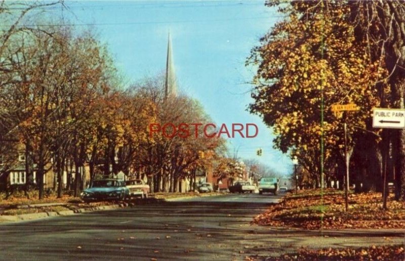 tree-lined W. CHICAGO BLVD., TECUMSEH, MICHIGAN