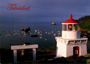 Trinidad The Trinidad Lighthouse and Harbour View