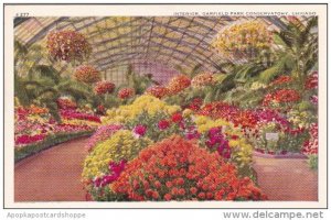 Illinois Chicago Interior Garfield Park Conservatory