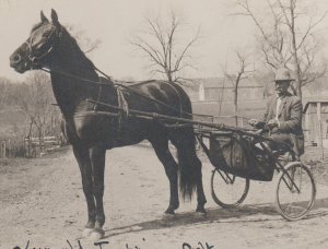 rppc c1910 HARNESS RACING Horse Race 2 YEAR OLD TROTTER Trotting SULKY SULKIE 