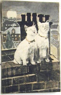 A4039     CAT    POSTCARD,   TWO  CATS