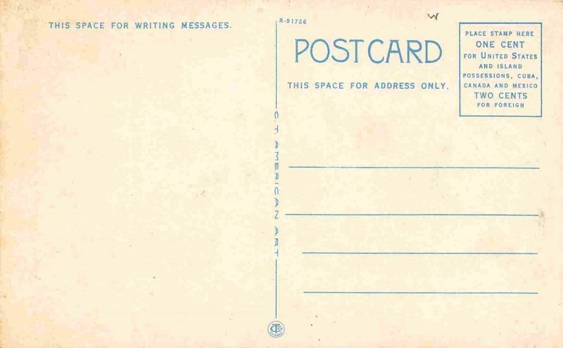 Cedar Street Owatonna Minnesota 1920c postcard