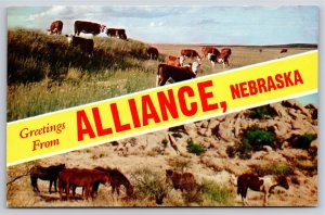 Banner Greetings From Alliance Nebraska~Cattle & Horse Herd Scenes~Vtg Postcard