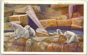 Postcard - Bears, Brookfield Zoo - Chicago, Illinois