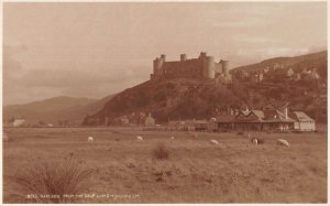 Harlech England View from the Golf Links Sheep  Real Photo Postcard AA49986