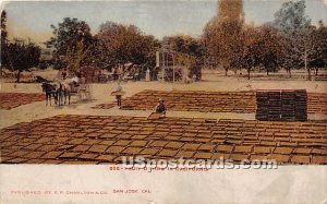 Fruit Drying - MIsc, California CA Postcard