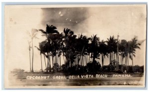 Panama Postcard Cocoanut Grove Bella Vista Beach c1930's Unposted RPPC Photo