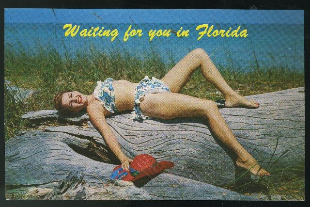 Florida Bathing Beauty Pinup Girl Pretty Woman Vintage 60s Risque Postcard