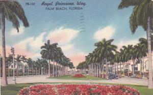 Royal Poinciana Way - Palm Beach FL, Florida - pm 1964 - Linen