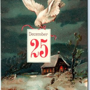 c1900s Dove Fly Christmas Night December 25 Calendar Embossed Church EAS PC A118