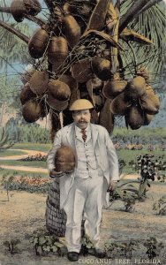 J86/ Jacksonville Florida Postcard c1910 Well-Dressed Man Cocoanut Tree 447