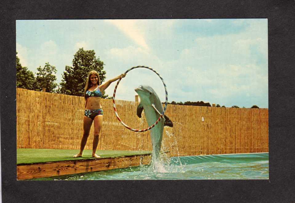 AR Animal Wonderland Amusement Park Hot Springs National Park Arkansas