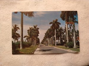 1960's West Marion Ave, Punta Gorda, FL Florida Chrome Postcard