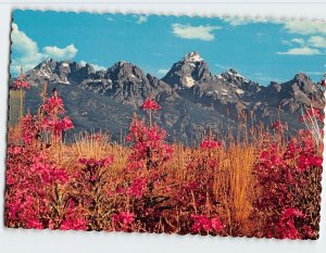 Postcard Teton Range, Grand Teton National Park, Wyoming