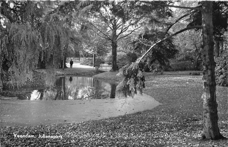 BG30206 veendam julianapark   netherlands CPSM 14x9cm