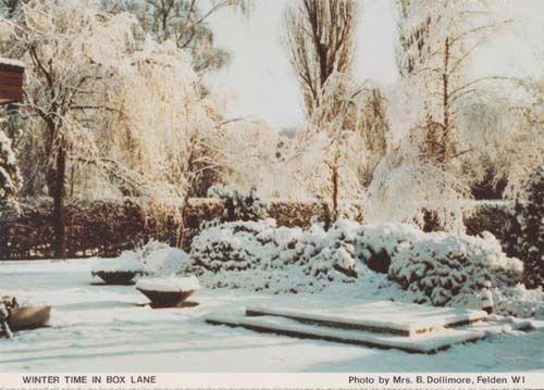 Box Lane Christmas Winter Felden Herts Hertfordshire Womens Institute Postcard