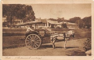 Pony Cart Buggy Lado Batavia Dutch East Indies Indonesia 1910s postcard