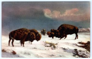 1920-30's BUFFALO INQUEST of the PLAINS COOPER HAND-COLORED ALBERTYPE POSTCARD