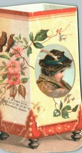 1880s-90s P.H. Vose & Co Crockery Main Street Bangor Woman & Bird Portrait