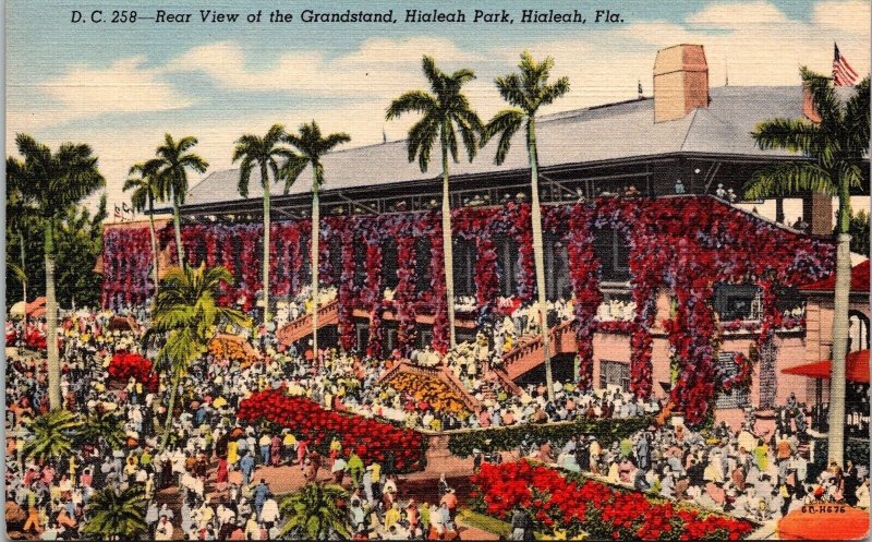 Hialeah Park Grandstand Rear View Hialeah Florida Gardens Linen Postcard 