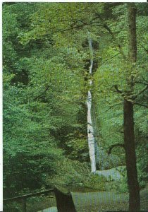Devon Postcard - Lydford Gorge - The White Lady Waterfall   AB695