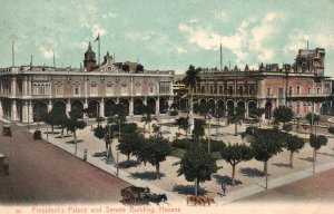 Vintage Postcard 1910's President's Palace And Senate Building Havana Cuba
