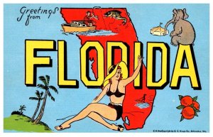Florida    LARGE LETTER