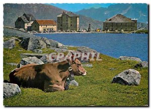 Postcard Modern San Gottardo Ospizio