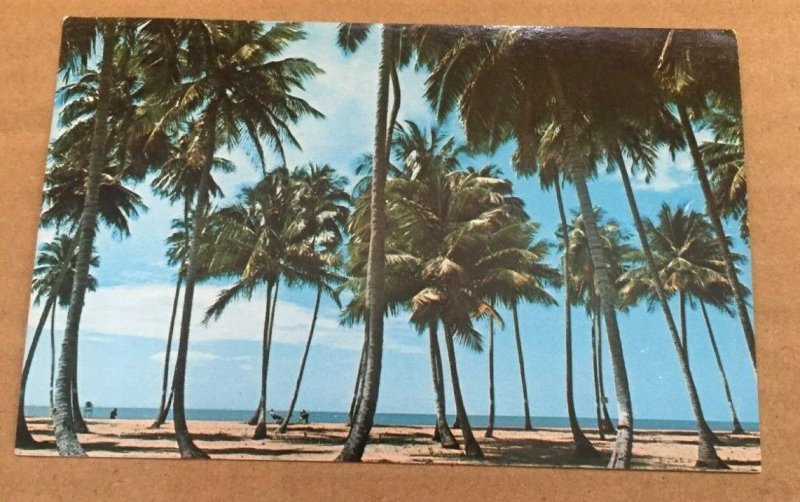 1976 USED POSTCARD - LUQUILLO BEACH, PUERTO RICO 