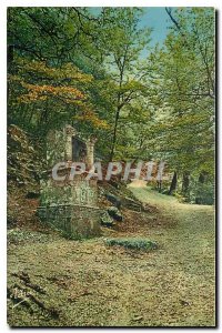 Old Postcard La Sainte Baume Oratory