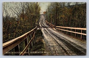 J97/ Berlin Heights Ohio Postcard c1910 Parmenter Hills Road  316