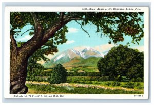 Vintage The Snow Angel Of Mt. Shavano. Postcard P71E