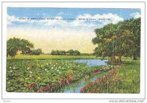 Scene In Weeks Park, Municipal Golf Course, Wichita Falls, Texas, PU-1951