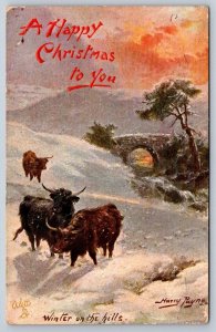 Winter On The Hills, Harry Payne, A Happy Christmas To You, 1908 Tuck Postcard
