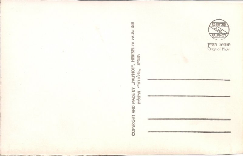 RPPC Haifa, Israel, Herzl Street 1950's JUDAICA