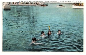 Floriida Tarpon Springs , Greek Cross Day , Divers