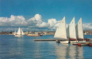 Balboa Bay California Harbor View Sailboats Vintage Postcard AA18951