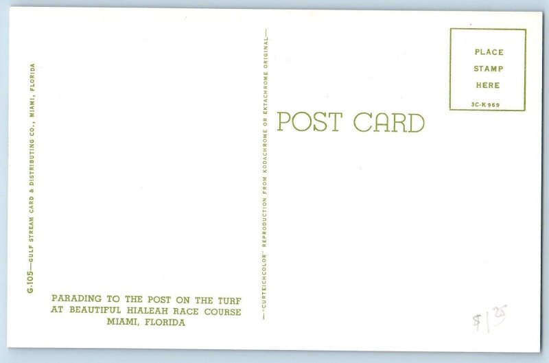 Miami Beach Florida FL Postcard Parading Post Turf Beautiful Hialeah Race c1960