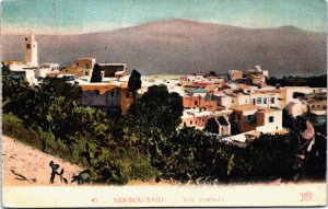 Tunisia Sidi Bou-Saïd Vue générale Vintage Postcard C177