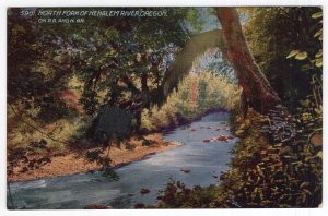 North Fork Of Nehalem River, Oregon