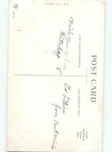 Divided-Back BIRDS SCENE Pretty Postcard AA9279