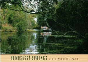 Homosassa Springs State Wildlife Park w Boat Florida Postcard